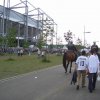mini-Bild 003